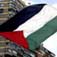 Solidarity with Palestine